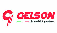 Logo Gelson